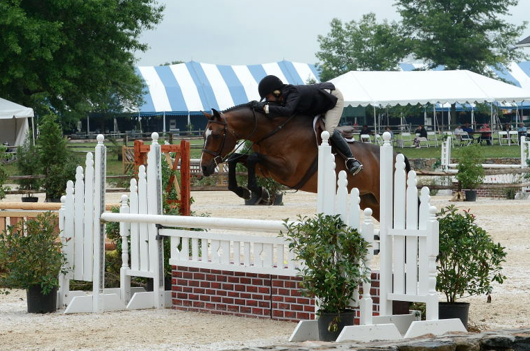 Loudoun Benefit Horse Show